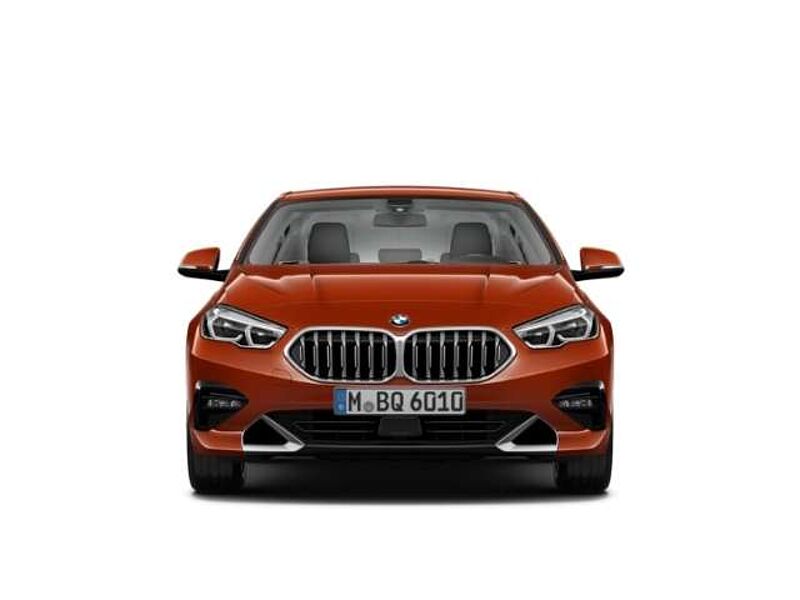 BMW 220 Gran Coupe d Luxury Line 220d EU6d Park-Assistent