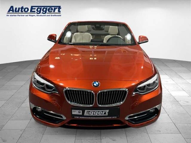 BMW 220 i Luxury Line Cabrio Leder LED Navi Keyless Kurven