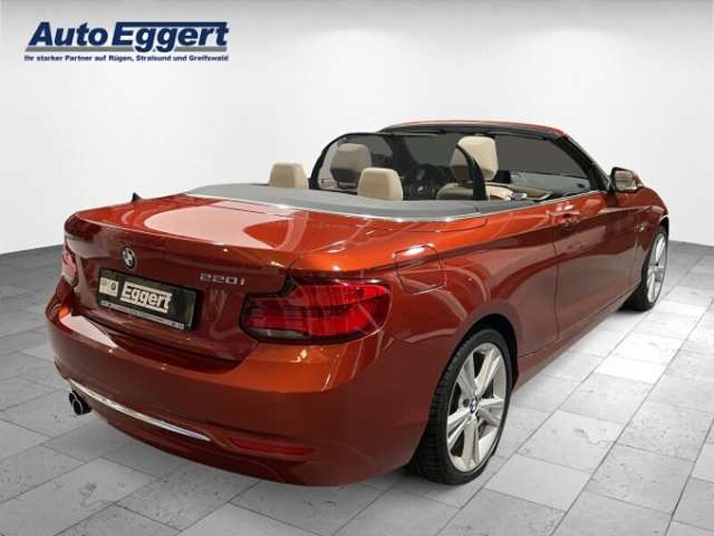 BMW 220 i Luxury Line Cabrio Leder LED Navi Keyless Kurven