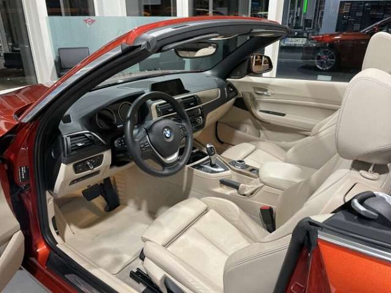 BMW 220 i Luxury Line Cabrio Leder LED Navi Keyless Kurven